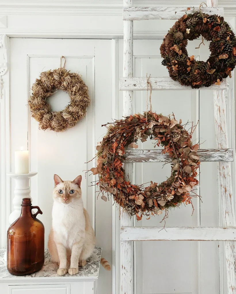 IMG_20220824_064137_425