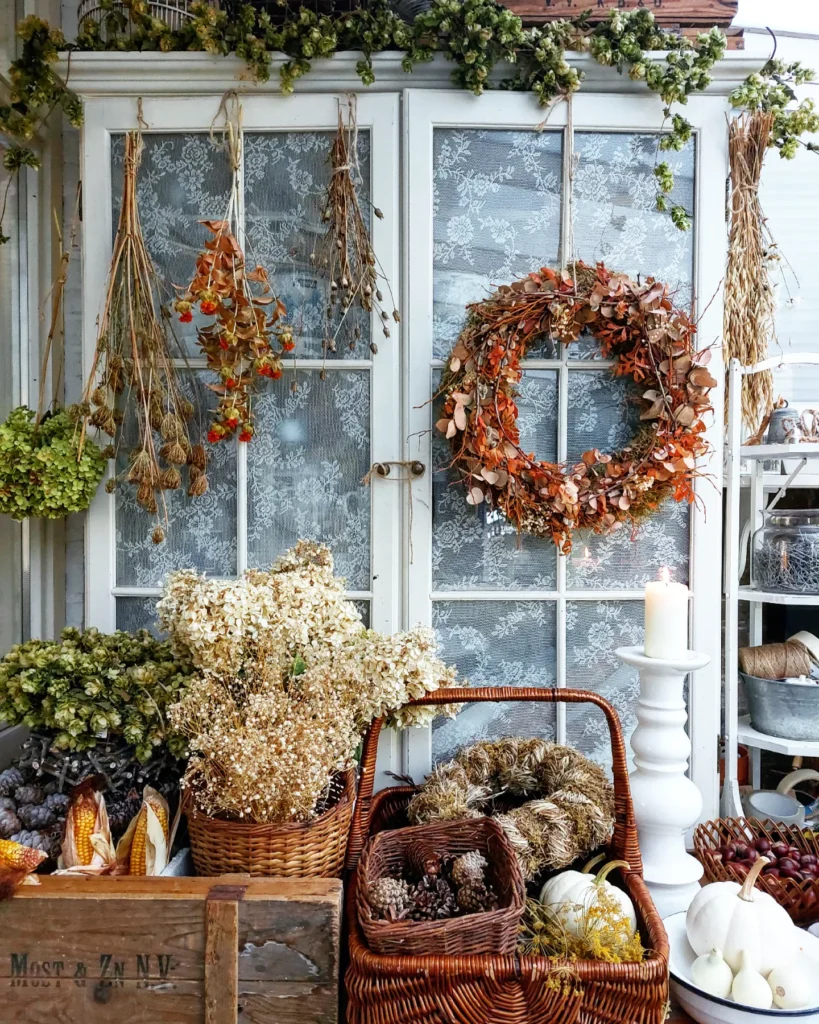 IMG_20220921_151817_396