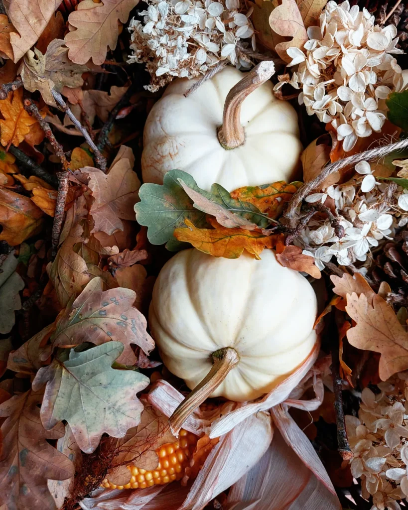 IMG_20221015_133809_713