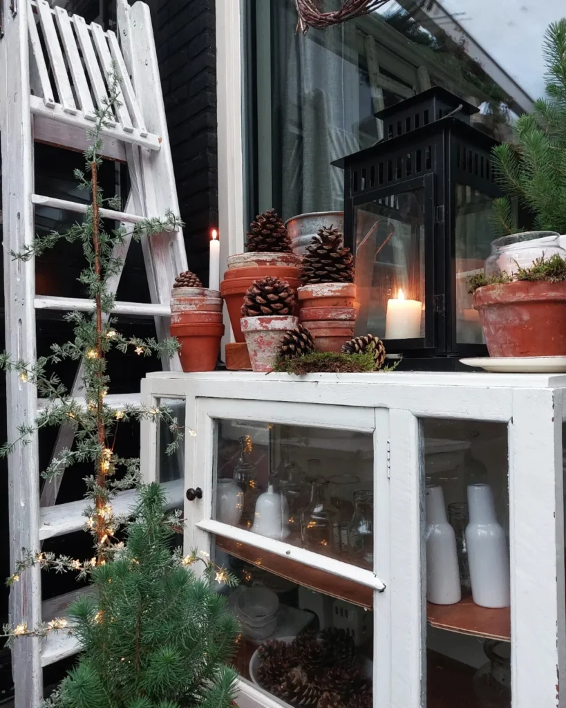 IMG_20221116_072251_609