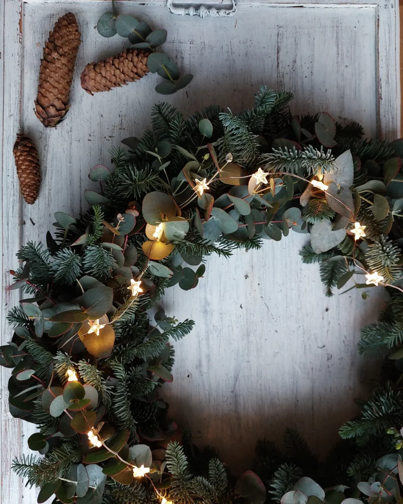 IMG_20221129_054327_302