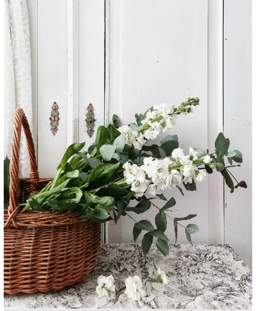 IMG_20230201_065155_769